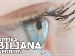 opticarska radnja biljana negotin